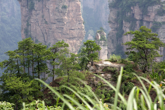 张家界 天子山