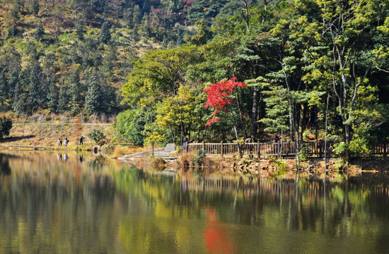 石门国家森林公园