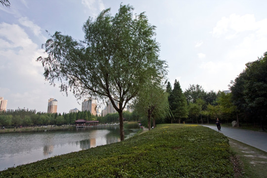 上海 浦东 金桥公园 休闲场所