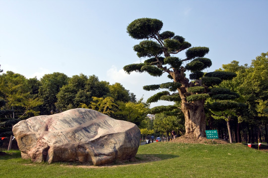 上海 浦东 金桥公园 休闲场所