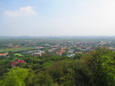 佘山区域