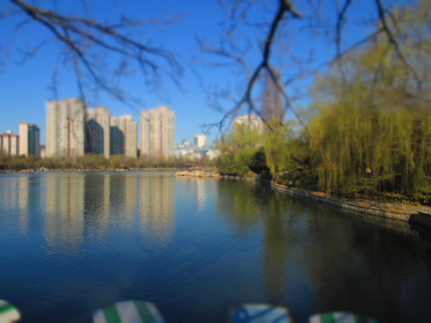 湖泊写真