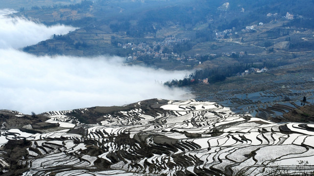 云南元阳哈尼梯田