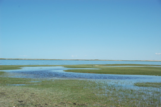 青海湖