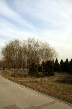 北京 亦庄 城市公园