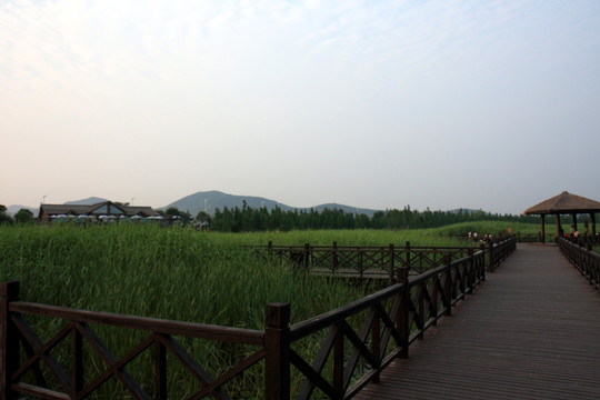 苏州 太湖西山 湿地 公园 户