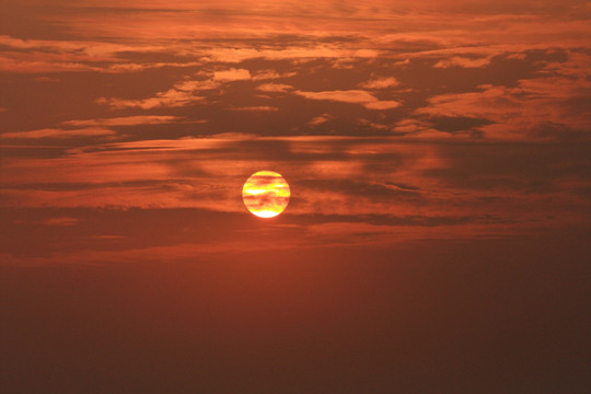 苏州 太湖西山 湿地公园 户外