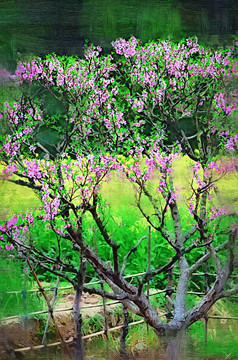 抽象画 装饰画 桃花