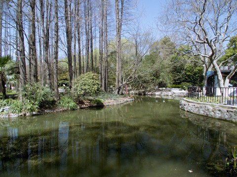 小河弯弯