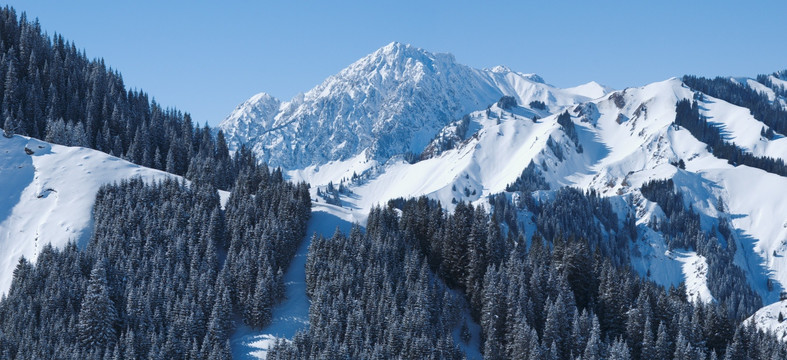 风雪天山行