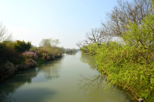 湿地 小河