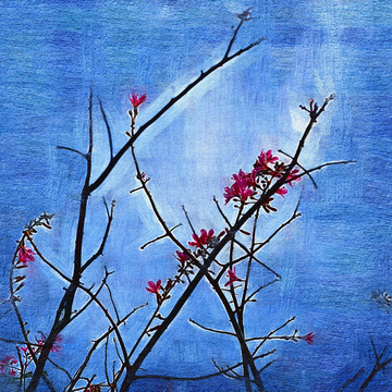 树枝花卉抽象装饰画