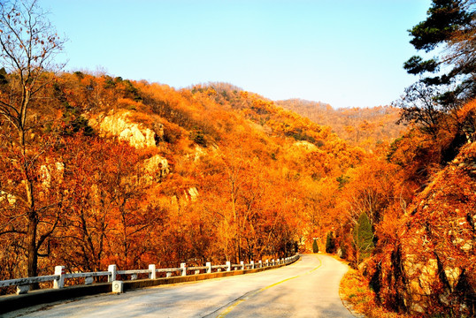 山路通向大山深处