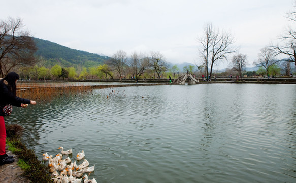 宏村南湖