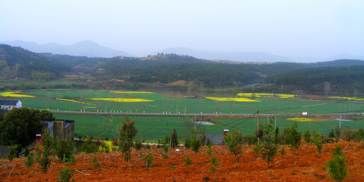 春天的田野