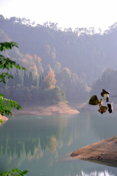 千岛湖 龙川湾 红叶湾 湖泊