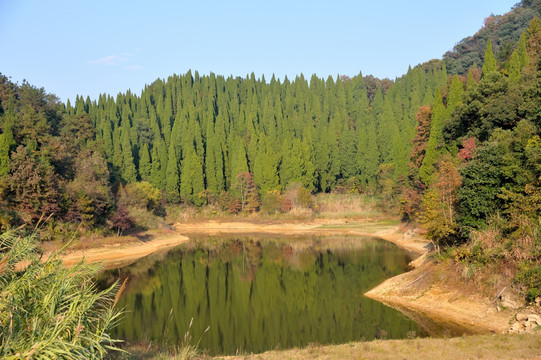 千岛湖 龙川湾 红叶湾 湖泊