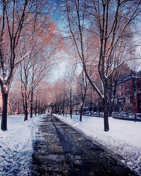 雪景 小路