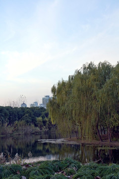 上海 浦东 休闲场所 世纪公园
