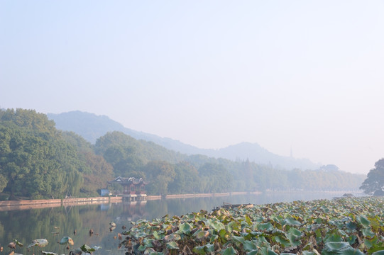 西湖北山街的早晨