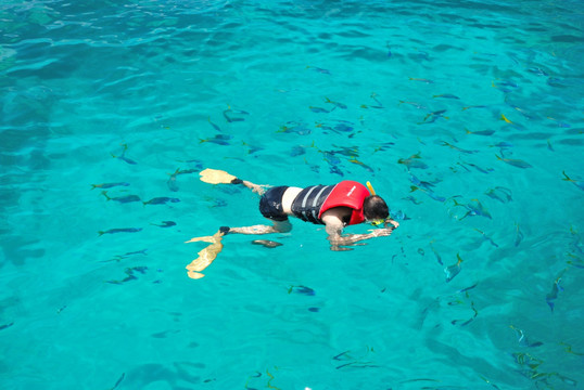 澳大利亚凯恩斯大堡礁出海潜水