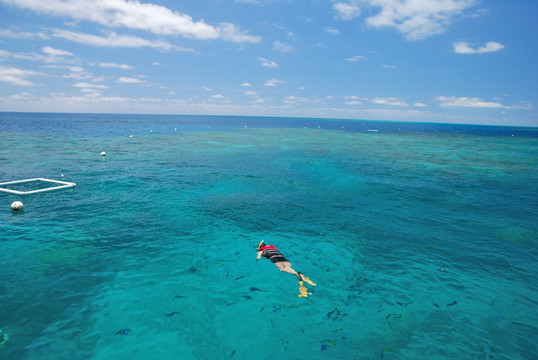 澳大利亚凯恩斯大堡礁浮潜运动