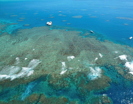 澳大利亚凯恩斯大堡礁