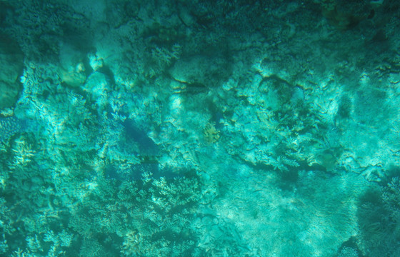 澳洲大堡礁景色