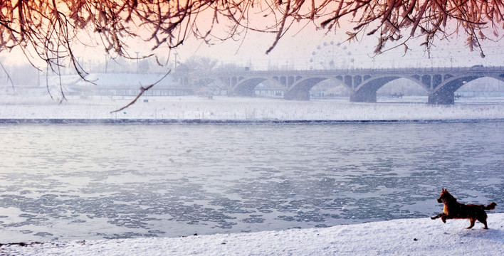伊犁河畔冬雪