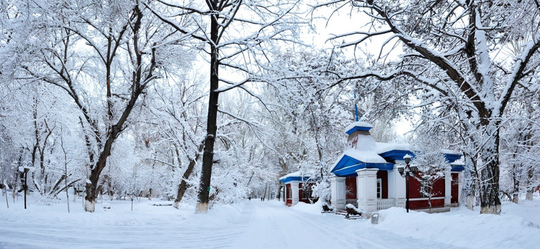 伊犁雪景