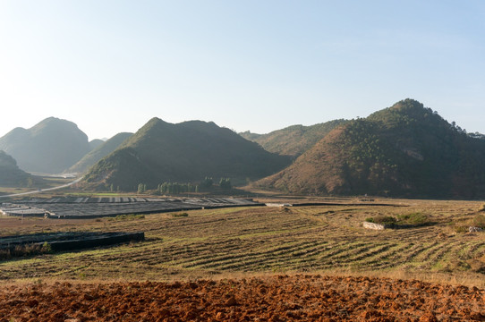 山里的田