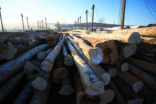 贮木场木材