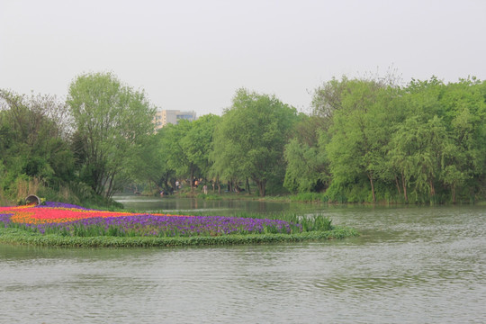 湖泊美景 西溪湿地