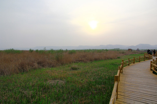 湿地公园
