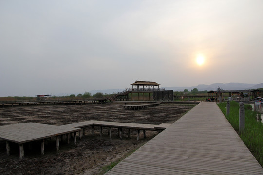 湿地公园