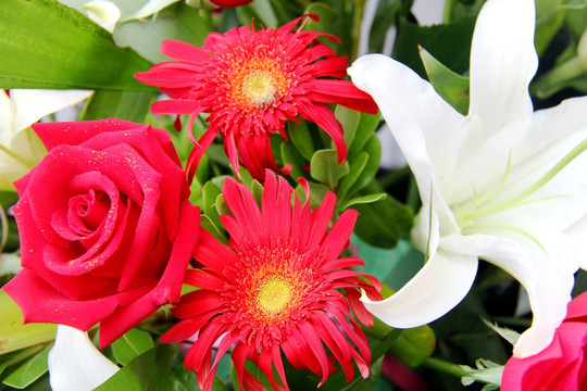 鲜花