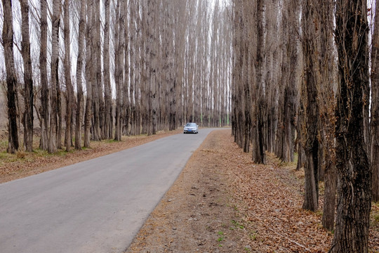 小路