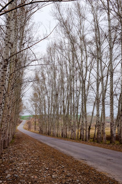 小路