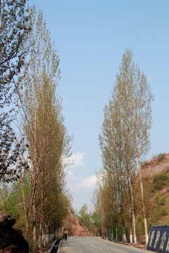 公路