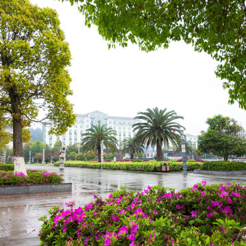 安福广场 城市绿化 春天