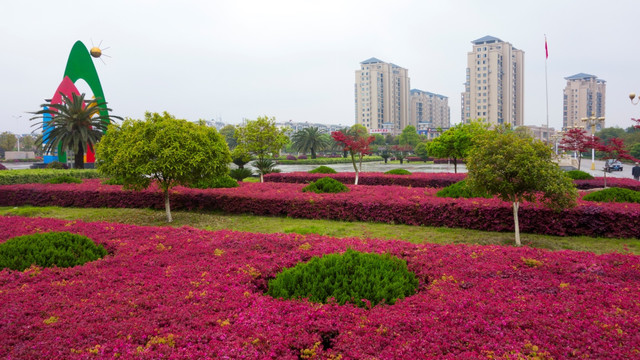 安福广场 城市绿化 春天