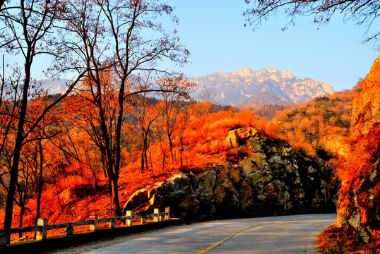 山路通向大山