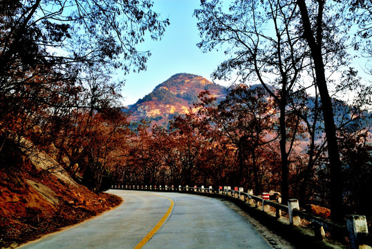 山路通向大山深处