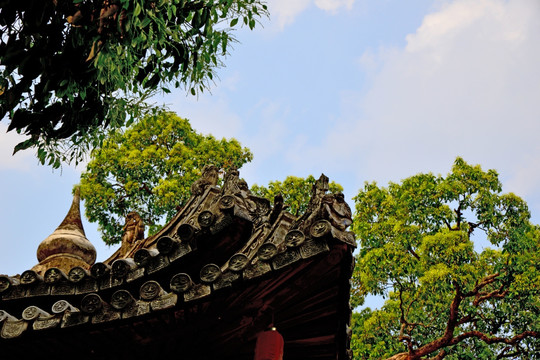 农业种植