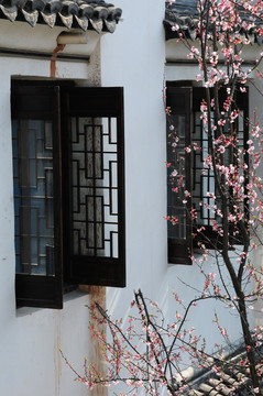 江南古建一角窗边桃花