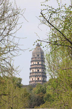 春景 塔
