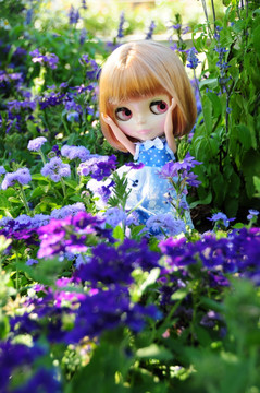 花丛中的小布Blythe