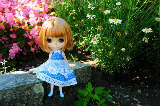 花丛中的小布Blythe