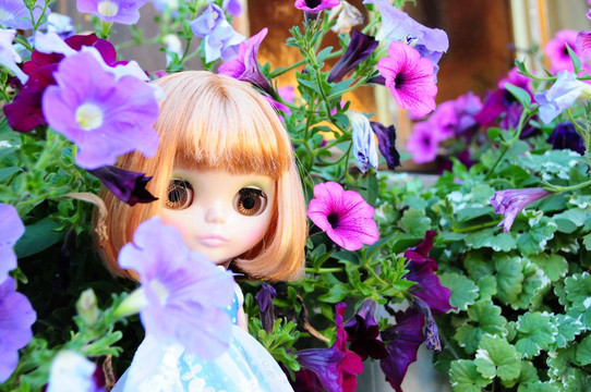 花丛中的小布Blythe