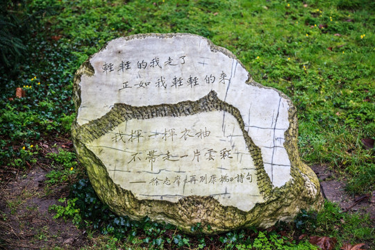 徐志摩再别康桥诗句